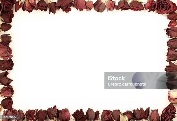 Frontera De Rosas Vintage Seca Foto de stock y más banco de imágenes de Arreglo floral - Arreglo floral, Decoración - Artículos domésticos, Diseño floral