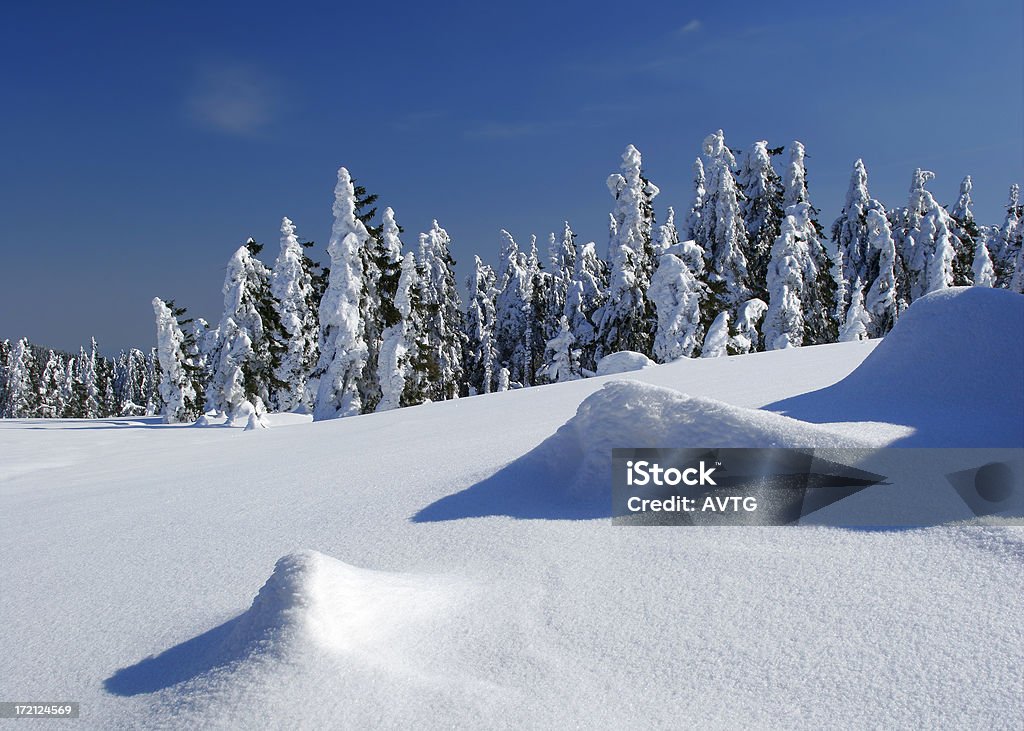 Winter-Landschaft - Lizenzfrei Abenteuer Stock-Foto