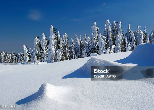 Winterlandschaft Stockfoto und mehr Bilder von Abenteuer - Abenteuer, Abgeschiedenheit, Baum