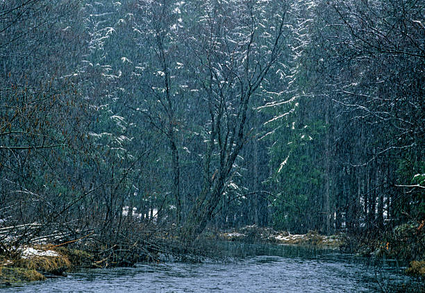 tempo nevadascomment - lehigh river imagens e fotografias de stock