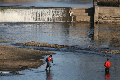 Scene in NW Iowa - Little Sioux River - surveyors wading in river.