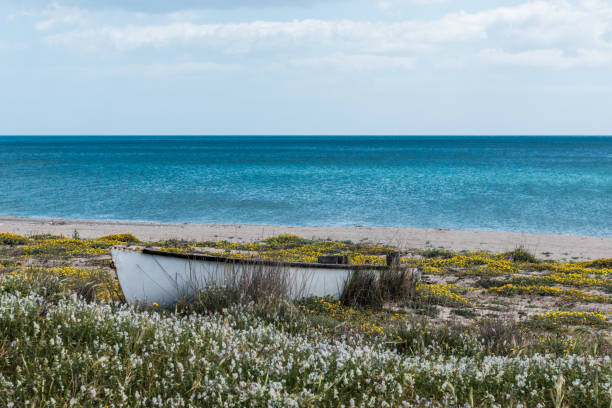 istock A boat covered in flowers 1721256043