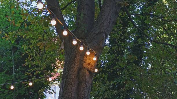 istock Waterproof Outdoor Decorative Lightbulbs Hanging on Tree 1721269416