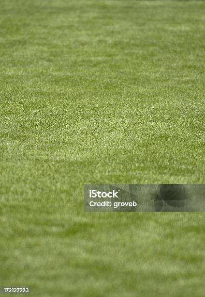 Perfetto Prato O Un Campo Di Erba - Fotografie stock e altre immagini di Campo - Campo, Colore verde, Composizione verticale