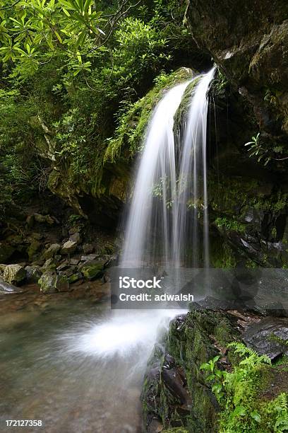 Kleine Smoky Mountainwasserfall Stockfoto und mehr Bilder von Aktivitäten und Sport - Aktivitäten und Sport, Appalachen-Region, Bach