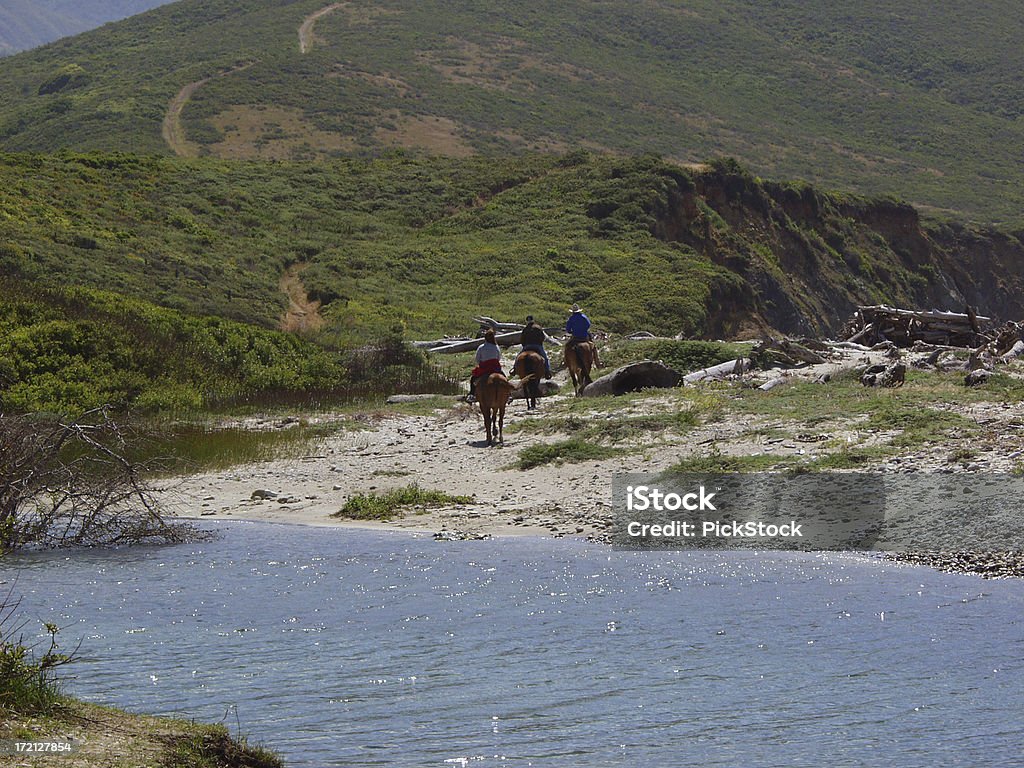 Horseback Riding Horseback Riding in the Mountains of California...See more ANIMAL AND WILDLIFE photos of mine : Activity Stock Photo