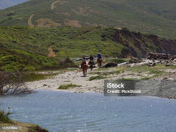 Horseback Riding Stock Photo - Download Image Now - Activity, Animal, Animal Themes