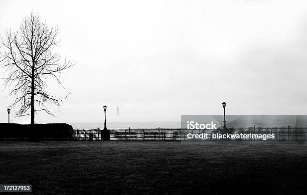 Liberty En La Niebla Foto de stock y más banco de imágenes de Blanco y negro - Blanco y negro, Estatua de la Libertad, Ciudad de Nueva York