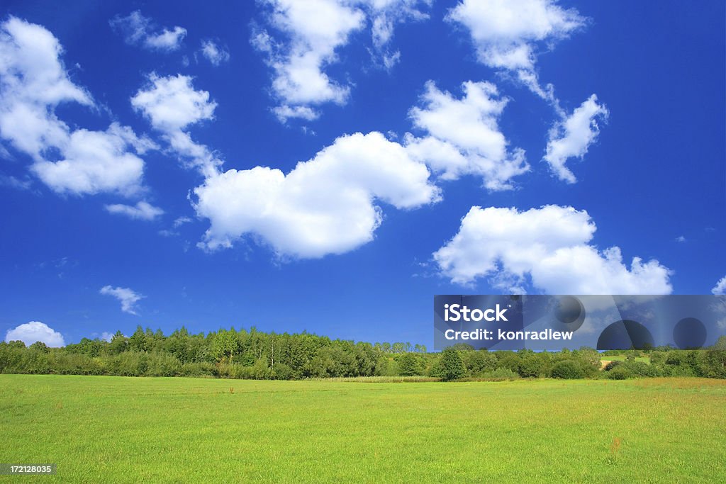 Grünen Feld-Landschaft - Lizenzfrei Agrarbetrieb Stock-Foto