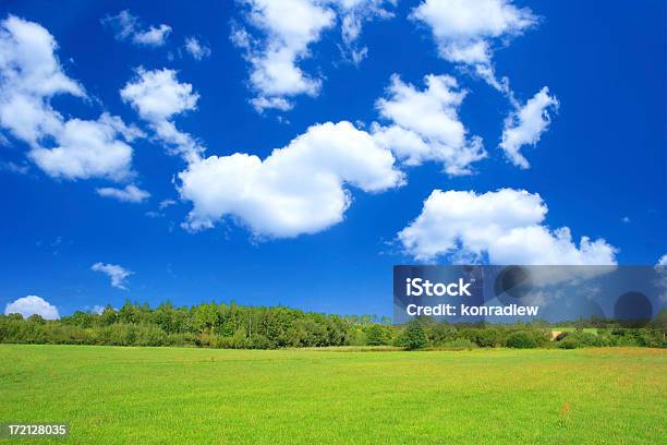 Grünen Feldlandschaft Stockfoto und mehr Bilder von Agrarbetrieb - Agrarbetrieb, Baum, Blau