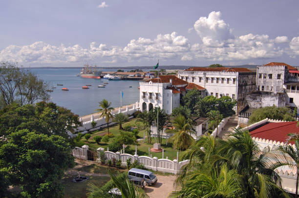 istock Stone City, Zanzibar 172128101