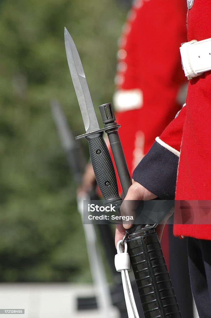 Королевский гвардии - Стоковые фото Автоматическая винтовка M16 роялти-фри