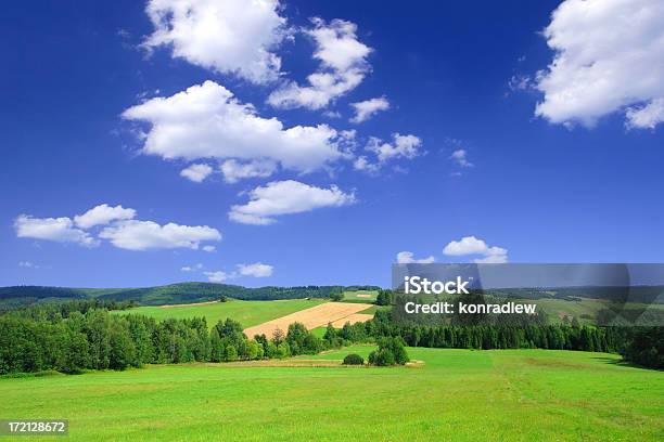 Paisagem De Campo Verde - Fotografias de stock e mais imagens de Agricultura - Agricultura, Ajardinado, Ao Ar Livre