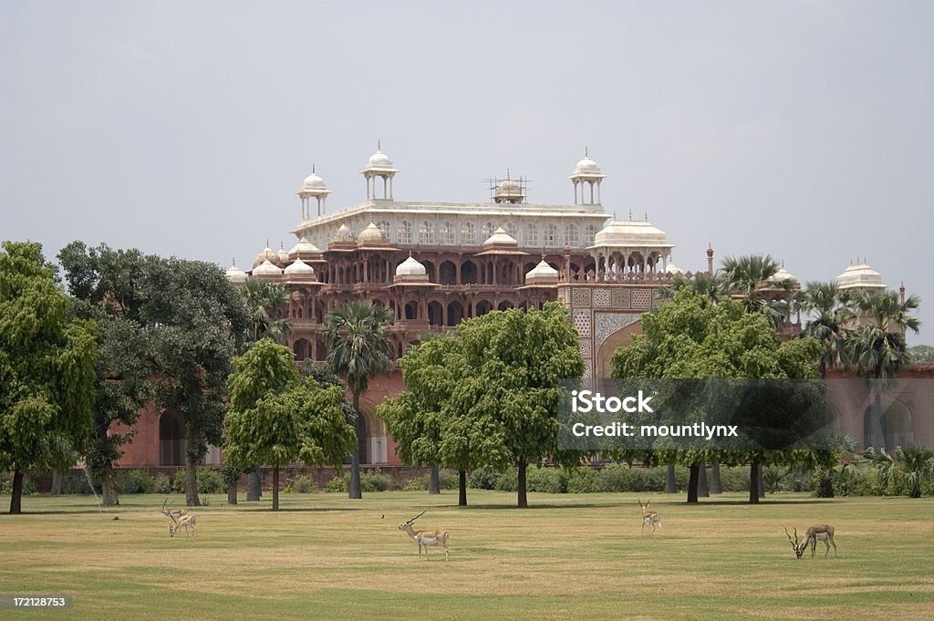 Piękne palace w Nowym Delhi-Indie - Zbiór zdjęć royalty-free (Architektura)