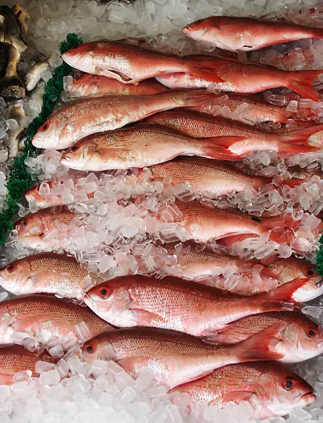Grabbed this picture of red snappers while shoppping for crabs at an open air fish market.