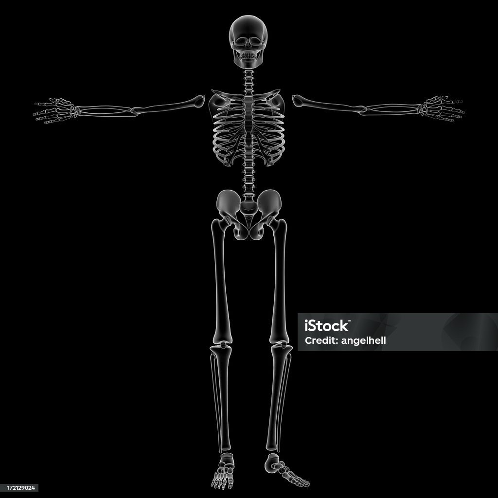 X-레이 인체 골격 연구 - 로열티 프리 X-레이 스톡 사진