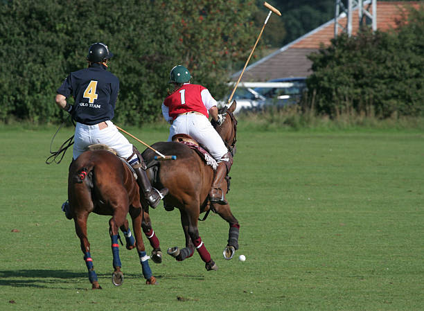 istock Woman plays polo 1 172129137