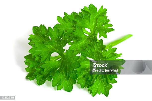 Curlyleaf Parsley Sprig Stock Photo - Download Image Now - Close-up, Cut Out, Extreme Close-Up