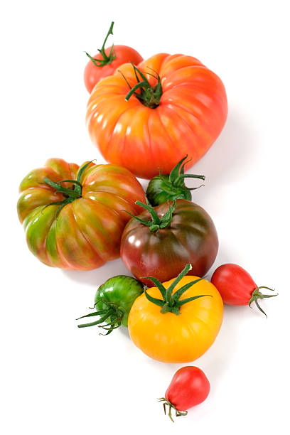 Assortment of different types of tomatoes on white back
