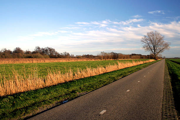 istock Amazing Dutch Landscape 172129311