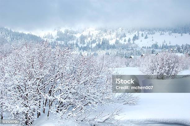 Natura Congelato Inverno - Fotografie stock e altre immagini di Albero - Albero, Ambientazione esterna, Ambientazione tranquilla