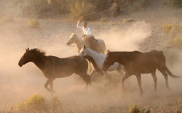 istock cowboys and wranglers 26 172129747