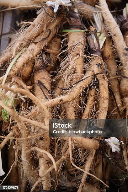 Agricultores Mercado Xersefi Raízes - Fotografias de stock e mais imagens de Xersefi - Xersefi, Comida, Comida e Bebida