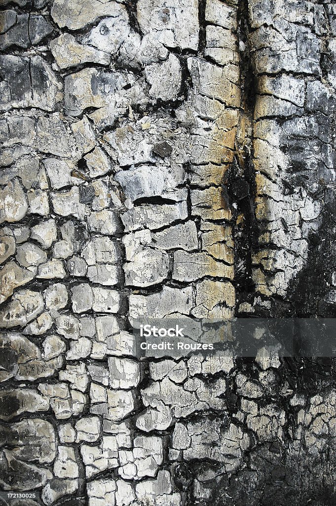 Burnt Wood Texture Charred Wood Aging Process Stock Photo