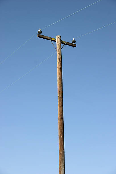 vara de potência - wood pole - fotografias e filmes do acervo