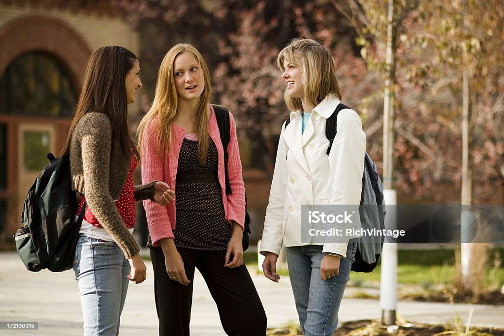 Three Students in Conversation Students talking about what else, boys. Indiana Stock Photo