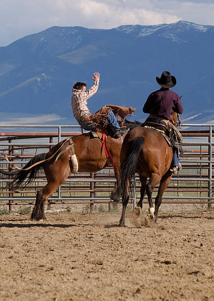 dźwięku dzwonka. - rodeo cowboy montana bucking bronco zdjęcia i obrazy z banku zdjęć