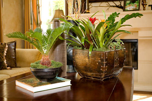 Living room of a formal home featuring polished wood coffee table and tropical potted plants.