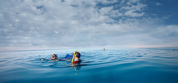 istock Snorkeling on coral reef 172130568