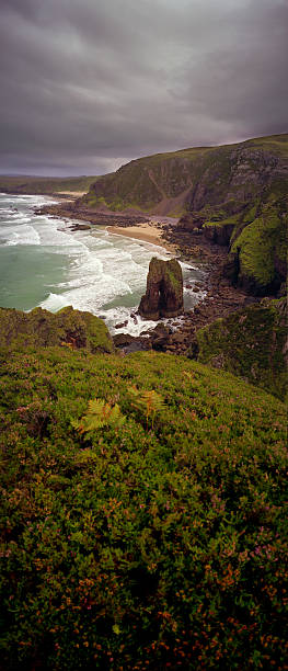 scozia - scenics coastline uk moss foto e immagini stock