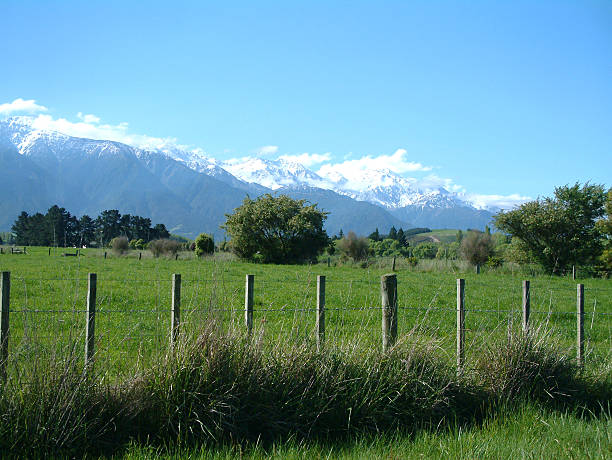 piękna nowa zelandia - marlborough region province acreage new zealand zdjęcia i obrazy z banku zdjęć