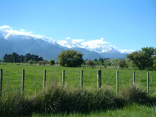 bela nova zelândia - marlborough region province acreage new zealand - fotografias e filmes do acervo