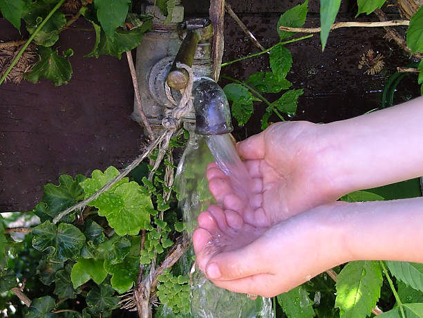 istock country garden tap 172130663