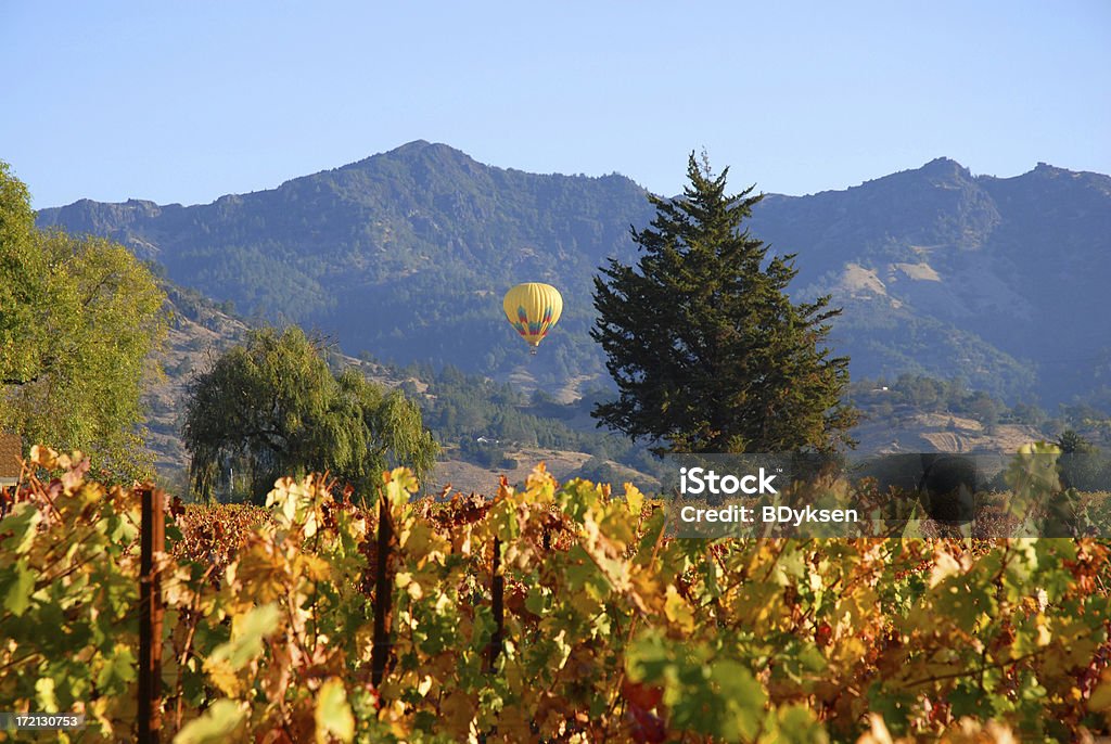 Montgolfière au-dessus des vignobles de Napa Valley - Photo de Napa Valley libre de droits