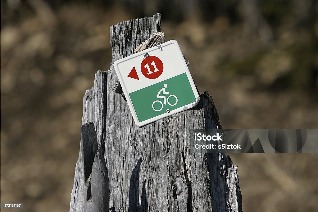 Mountainbike-track - Lizenzfrei 10-11 Jahre Stock-Foto