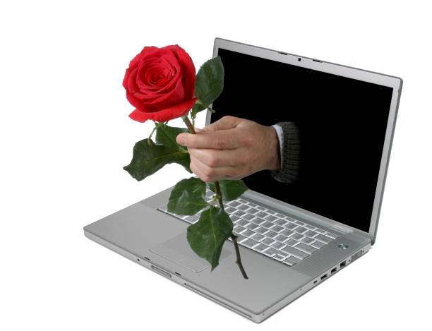 Laptop Love Series