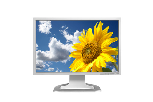 Wide screen LCD computer monitor.  Isolated on white background. Beautiful sunflower on blue sky with fluffy clouds is set as wallpaper.