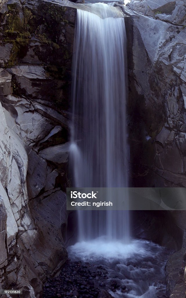 Cascade dans le parc National du Mt. Rainier - Photo de Cascade libre de droits