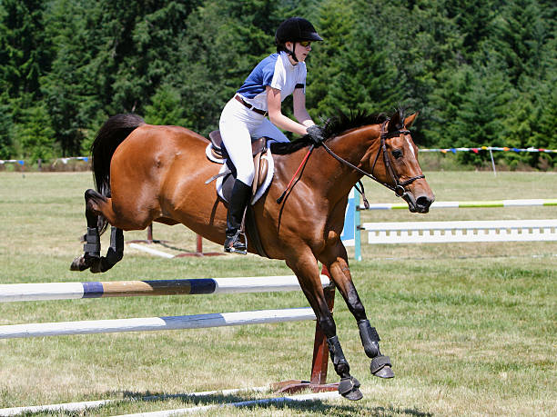 istock Horse & Rider Clearing a Stadium Jump 172131959