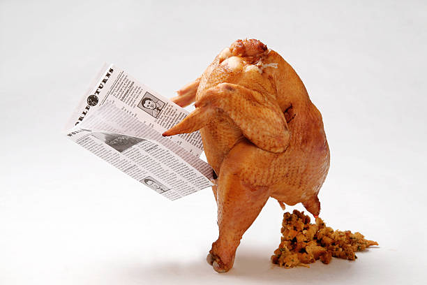 Thanksgiving Turkey Pooping Stuffing II Newspaper created by me and poses no copyright issues. thanksgiving holiday travel stock pictures, royalty-free photos & images