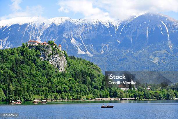 Photo libre de droit de Château De Bled Slovénie banque d'images et plus d'images libres de droit de Alpes européennes - Alpes européennes, Au-dessus de, Beauté