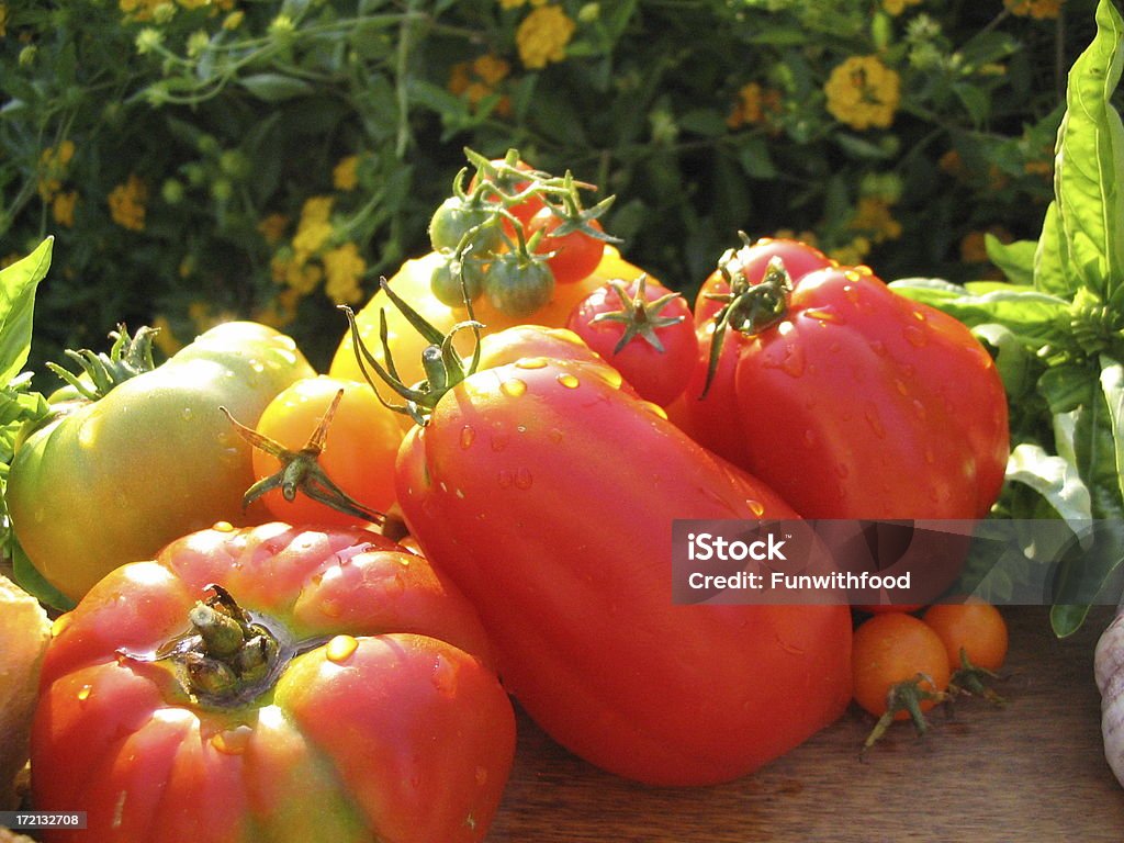Na pomidorów! - Zbiór zdjęć royalty-free (Bazylia)