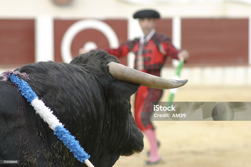 bullfigth3 - 闘牛士のロイヤリティフリーストックフォト