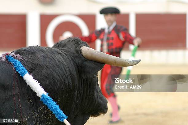 Foto de Bullfigth3 e mais fotos de stock de Toureiro - Toureiro, Chapéu, Touro - Animais Machos