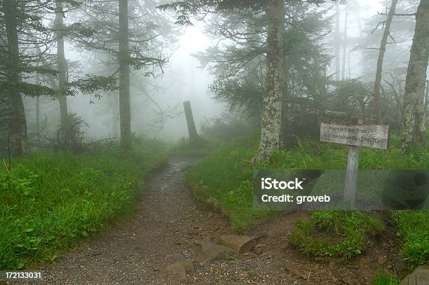 Trilho Apalache - Fotografias de stock e mais imagens de Appalachia - Appalachia, Caminhada, Condições Meteorológicas