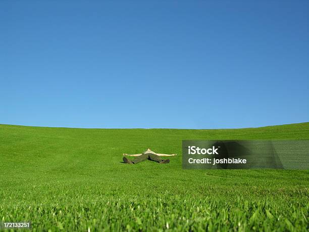 Knocked Out Stock Photo - Download Image Now - Flat - Physical Description, Lying Down, Spreadeagled